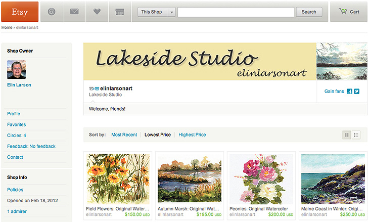 Elin's Etsy Page copy